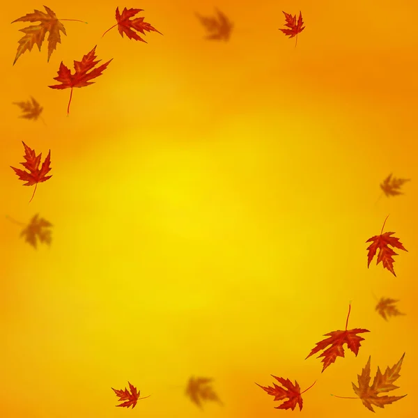 Autumn Background Colored Leaves — Stock Photo, Image