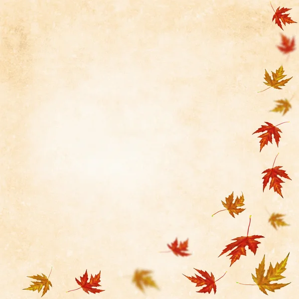 Herbst Hintergrund Mit Farbigen Blättern — Stockfoto