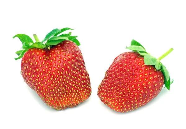 Erdbeeren Isoliert Über Weißem Hintergrund — Stockfoto