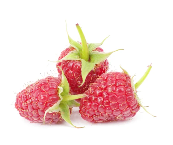 Raspberry Fruits Isolated White Background — Stock Photo, Image