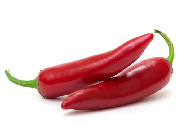 Rode Hete Chili Peper Geïsoleerd Een Witte Achtergrond — Stockfoto