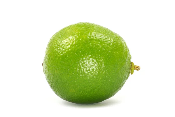 Lime Isolated White Background — Stock Photo, Image