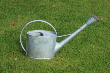 Sulama-can (sulama-pot) çim