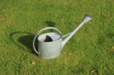 Sulama-can (sulama-pot) çim