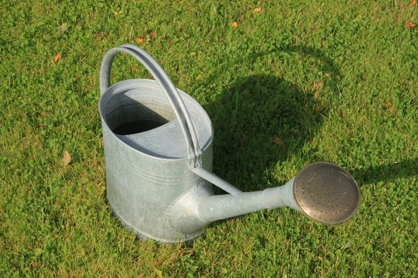Drenken-kan (drenken-pot) op het gras — Stockfoto