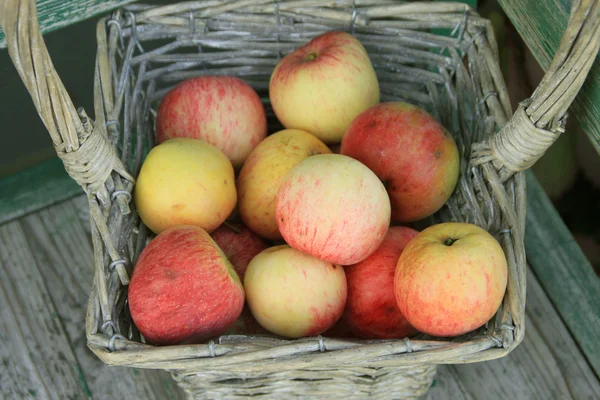Спелое яблоко в плетеной корзине — стоковое фото
