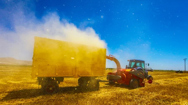 Agricultura — Fotografia de Stock