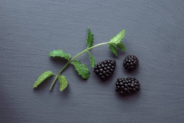 Gri desenli arka planda üç böğürtlen ve küçük yeşil dal yatıyordu. Taze meyve konseptinde vitaminler.