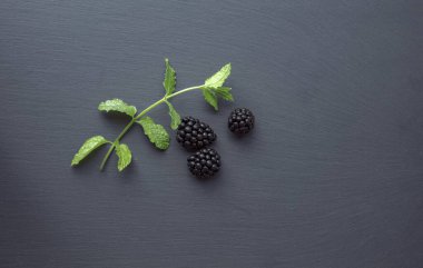 Gri desenli arka planda üç böğürtlen ve küçük yeşil dal yatıyordu. Taze meyve konseptinde vitaminler.