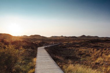Sahilde gün batımının resmi gibi. Kum tepeciklerinin yoğun bitki örtüsü. Doğada tahta tahta kaldırım. Yaz tatili, deniz konseptinde tatil.