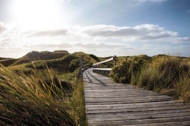 Çimenli doğa koruma alanından düşük açılı turistik patika. Güneş ışığına karşı görüş. Doğada güneşli bir gün. Yaz tatili kavramı.