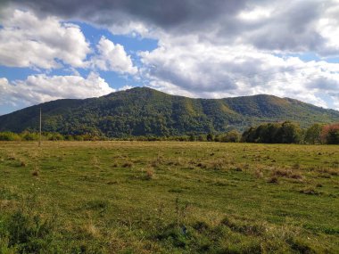 Ormanda Gün ortası 