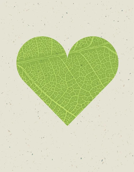 Zelený list ve tvaru srdce — Stockový vektor
