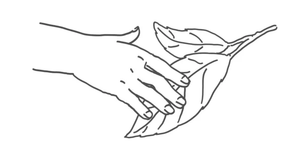 Handslag Hand Med Löv Spara Natur Illustration — Stock vektor