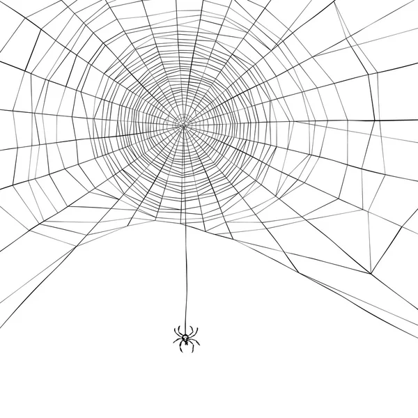 Хеллоуїн Фон з павутиною — стоковий вектор