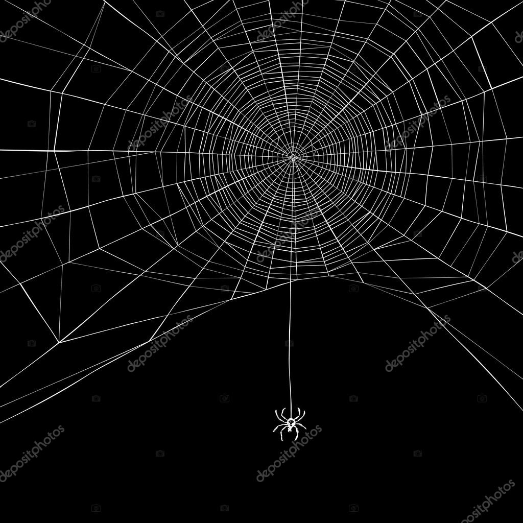 halloween spider wallpaper