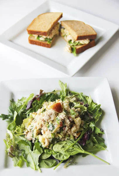 Tuna salad and sandwich — Zdjęcie stockowe