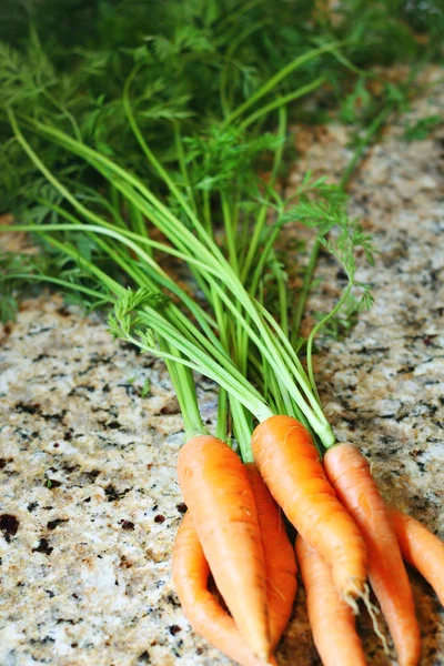 Carottes biologiques fraîches — Photo