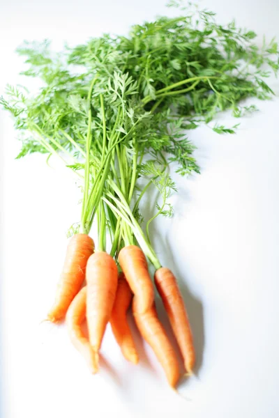 Bouquet de carottes fraîches — Photo