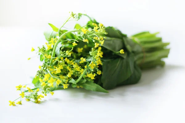 Collard fresh greens — Stockfoto