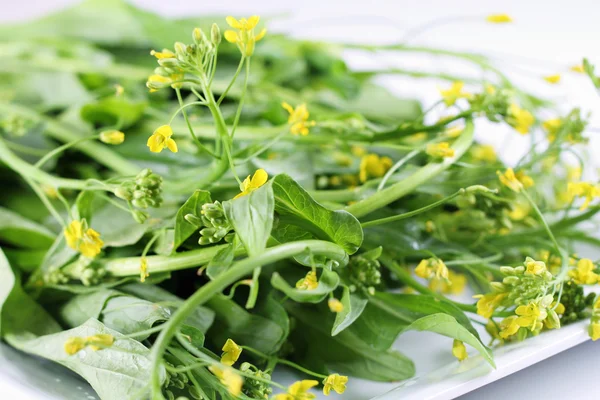 Baby flowering collard greens