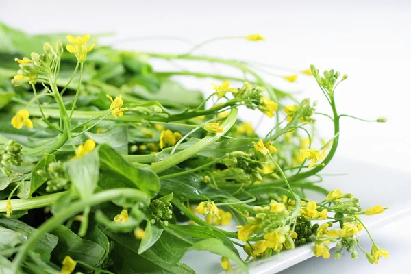 Greens with tiny yellow flowers — Stockfoto
