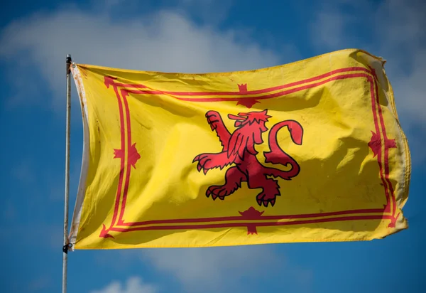 Royal Standard of Scotland — Stock Photo, Image