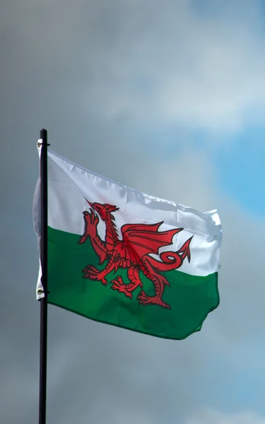 Bandeira galesa voando — Fotografia de Stock