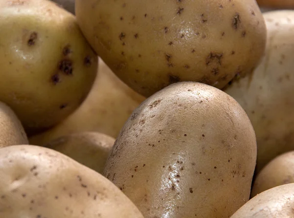 Potatis till salu — Stockfoto