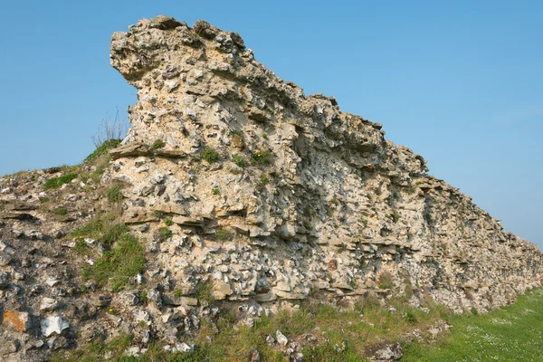 Roman Wall Silchester Stock Kép