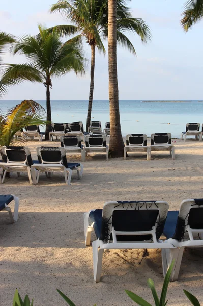 Cadeiras na praia ao pôr do sol — Fotografia de Stock