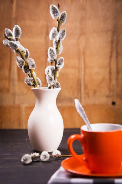 Coffee with willow — Stock Photo, Image