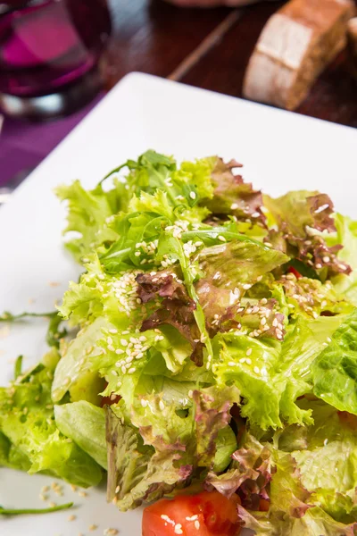 Zöld vegetáriánus saláta — Stock Fotó