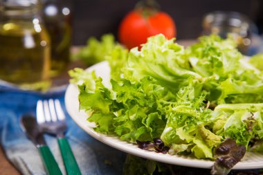 Vejetaryen salata karışımı