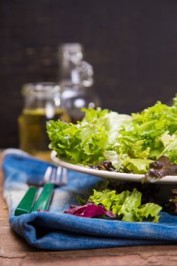 Vejetaryen salata karışımı