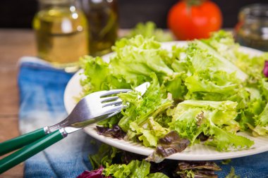 Vejetaryen salata karışımı