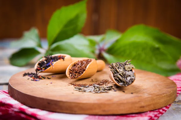 Different dry teas — Stock Photo, Image