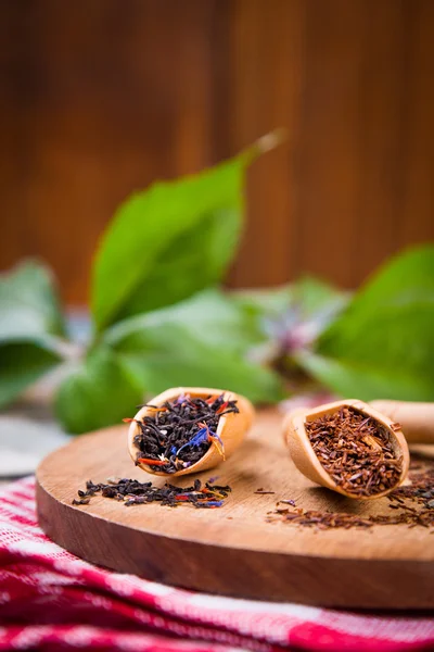 Different dry teas — Stock Photo, Image