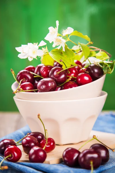 Cherrys with flowers — Stock Photo, Image