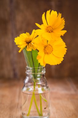 Vazodaki sarı çiçekler