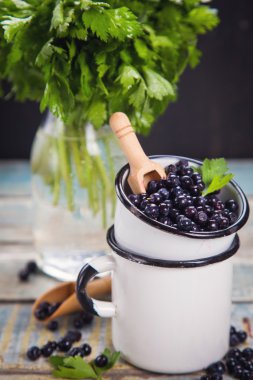 taze bilberry Kupası