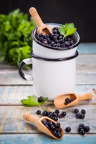 Myrtille fraîche en tasse — Photo