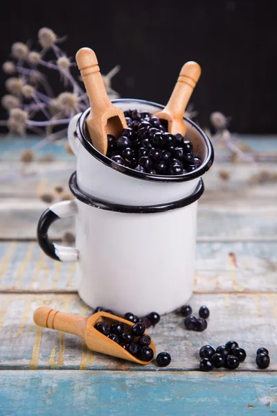 Myrtille fraîche en tasse — Photo