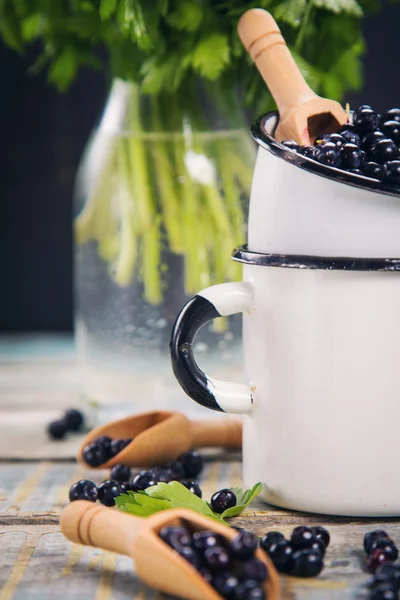 Myrtille fraîche en tasse — Photo