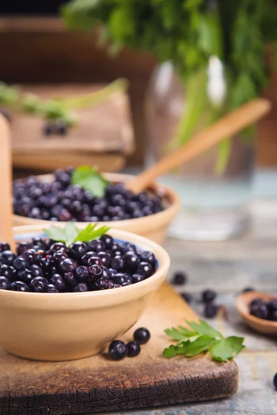 Tabak taze bilberry — Stok fotoğraf