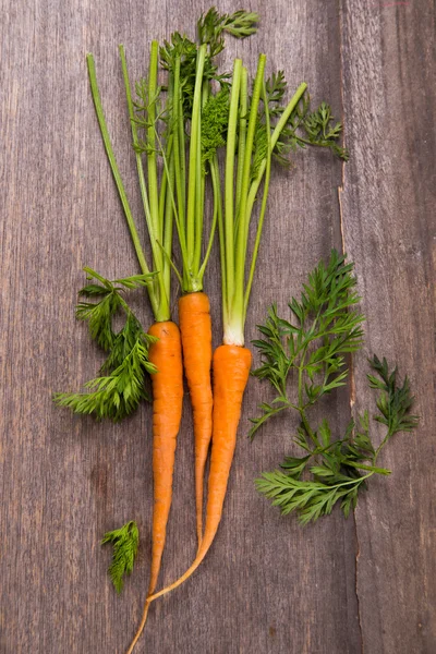 Carota cruda fresca — Foto Stock