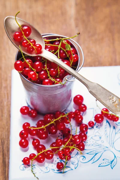 Red current in bucket — Stock Photo, Image