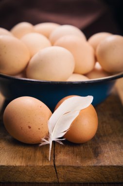 sağlıklı taze yumurta