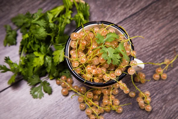 White ripe currant — Stock Photo, Image