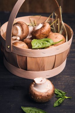 Yeşil fesleğen ile mantar